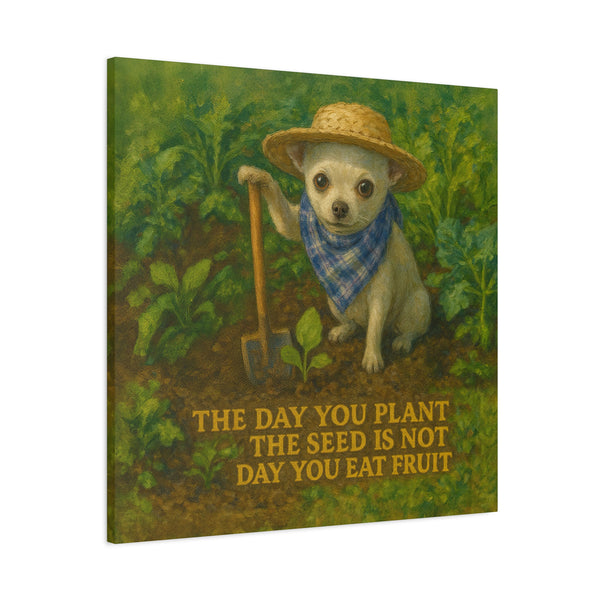 Farmer Doge back